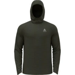 OdloHerren Millennium Element Hoodie